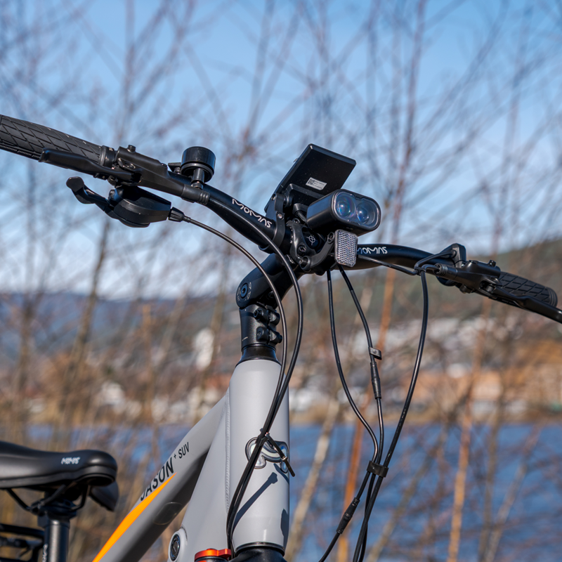 Momas Jason+ SUV 2026 - Grey - L (630Wh EN50604 battery, Digiwise display)