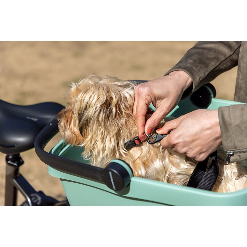 Newlooxs Clipper - Lemmikkipaketti